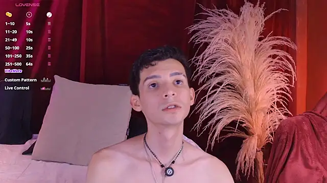 VicenteFerrer webcam