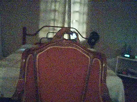 vortexX2565 webcam