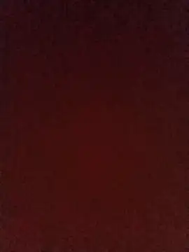 roludogozadojy webcam