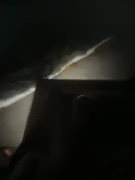 J19L84C webcam