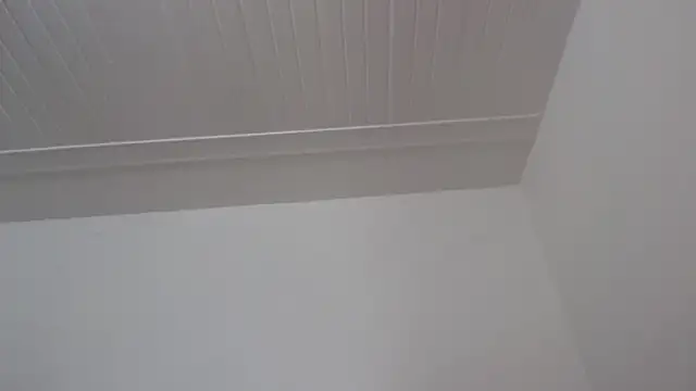 ElizabethMiler webcam