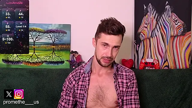 Promethe_us webcam