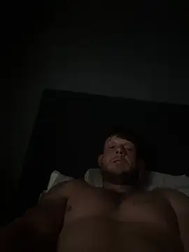 Patronel webcam