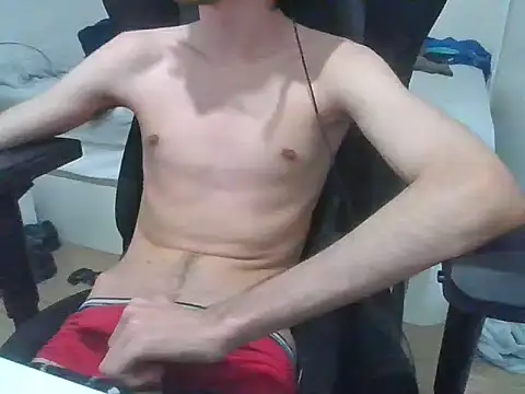 gabrielNovin17cm webcam