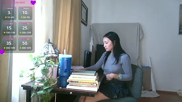 yuzhara webcam