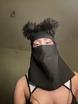 arabayla webcam