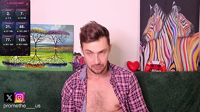Promethe_us webcam