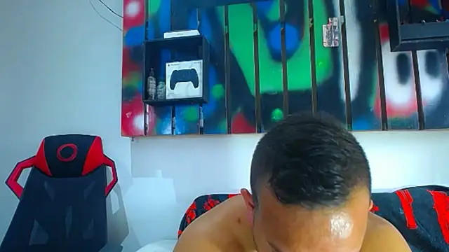 hugo_19cm webcam