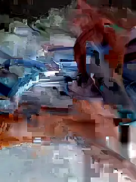 Wesleypikadura webcam