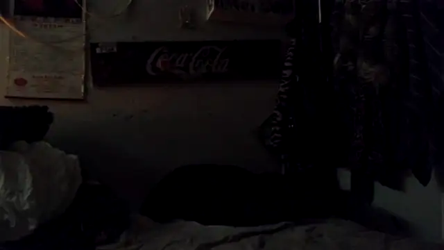 VanillaSnowcones webcam