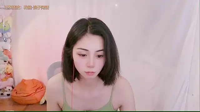 Puresnow webcam