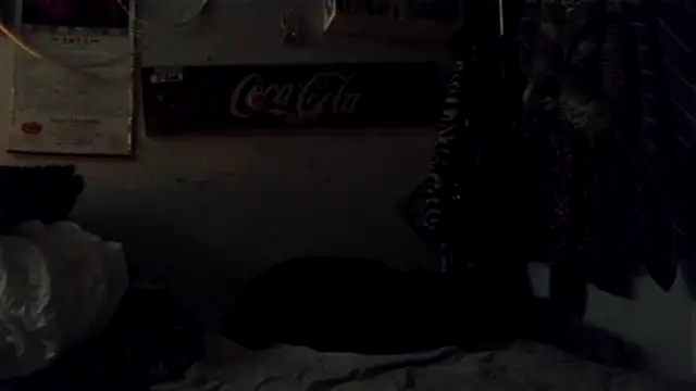 VanillaSnowcones webcam