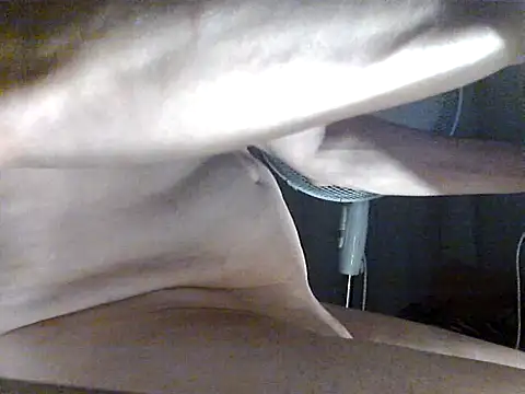 thekeys webcam