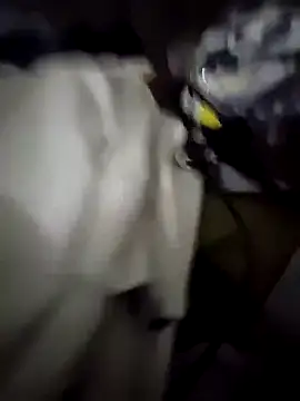 ThickDickRider webcam