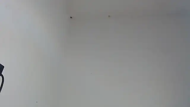 drako_monster webcam