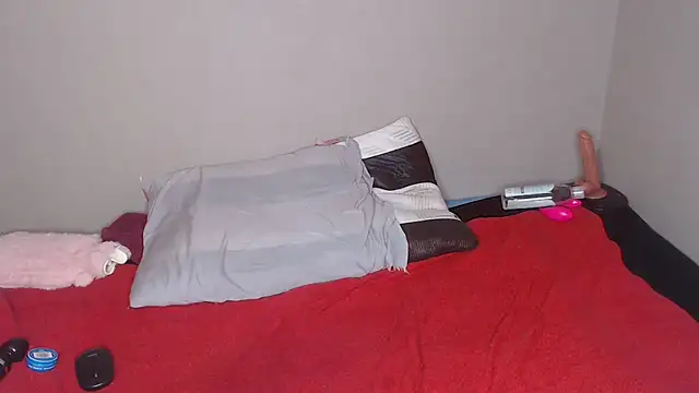 liztaylor webcam