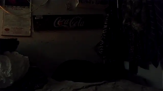 VanillaSnowcones webcam