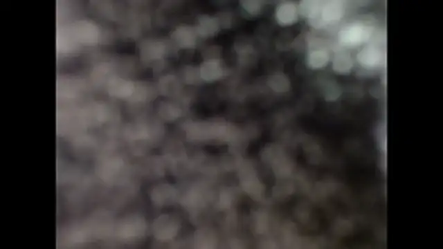 paulavletina21 webcam