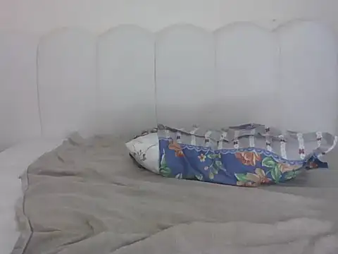 Switdelfy webcam