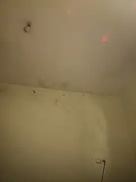 arabayla webcam