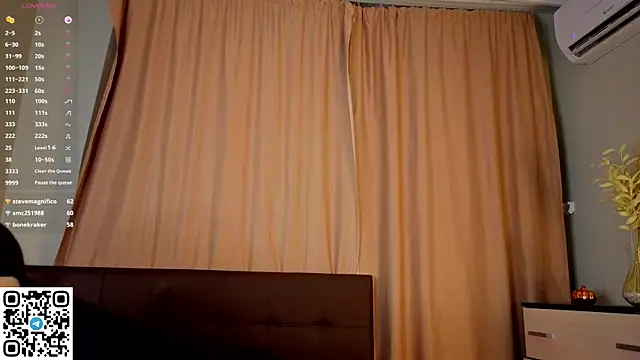 NerixalVire webcam