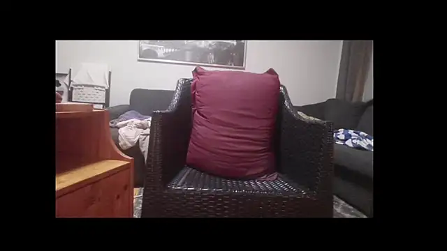 Tyyson03 webcam