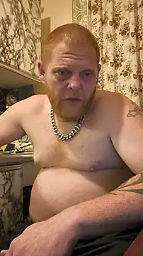 Baumhackel webcam