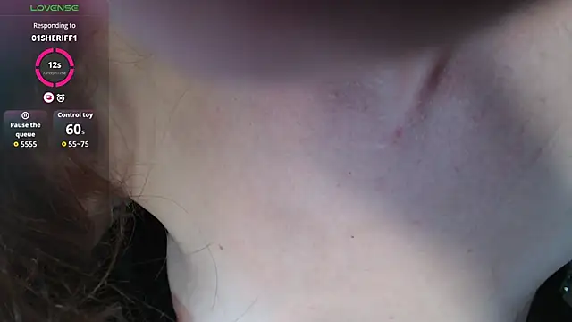 BB_Web webcam