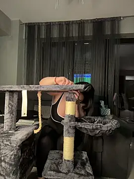 Andrestarr webcam