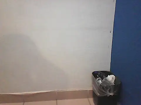Kalel17073 webcam