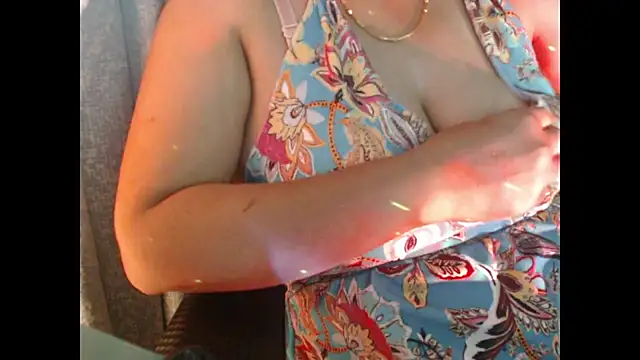 Model29 webcam