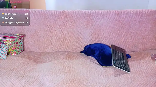 isabelle_adj webcam