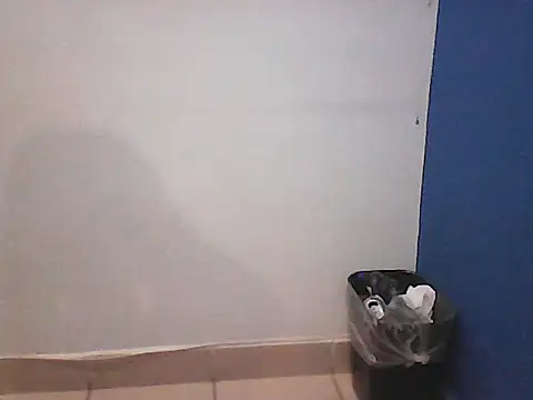 Kalel17073 webcam