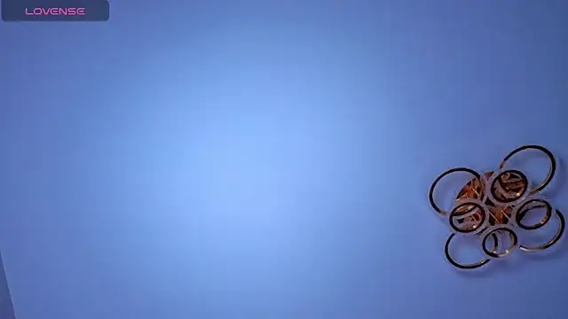 PerryKitty webcam