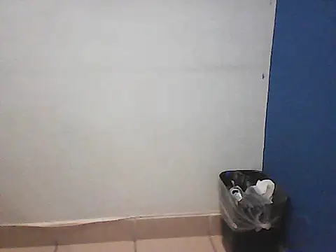 Kalel17073 webcam