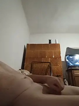 Danimen webcam