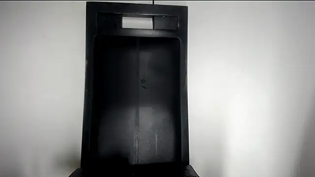 Fox_Loves webcam
