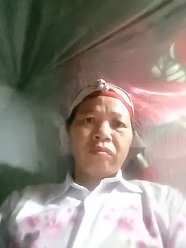 Elfledaa webcam