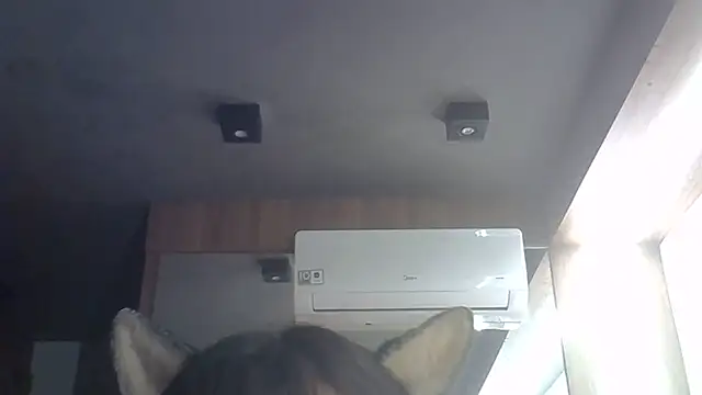SkinnyKitten webcam
