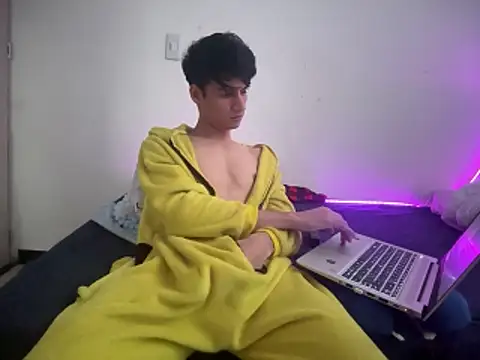 Zlestkarr webcam