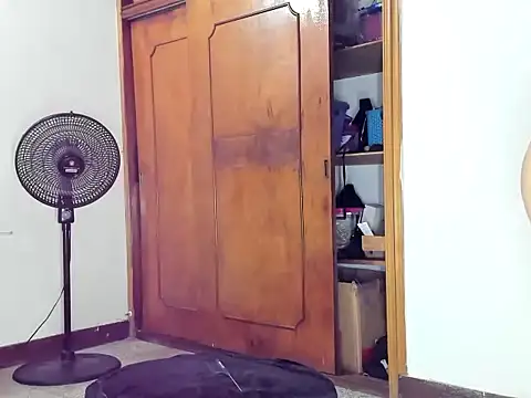 Genesisklart webcam