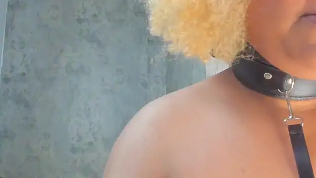 Kaidapunk webcam