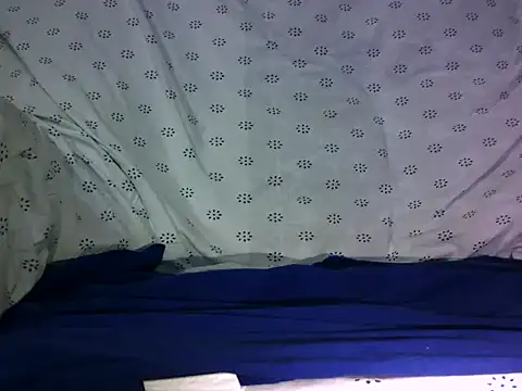 trdancingbear webcam