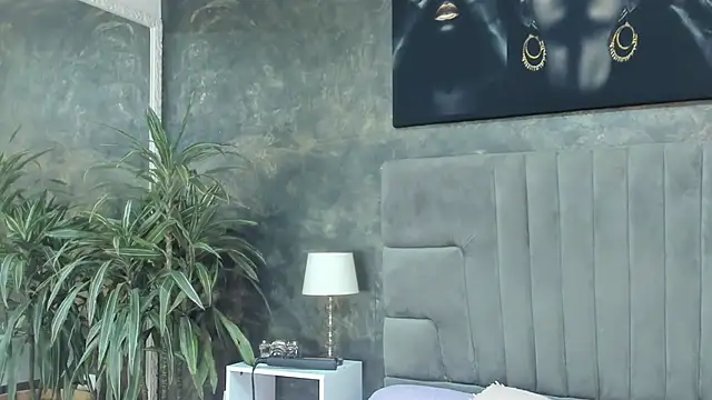 isa_lancaster webcam