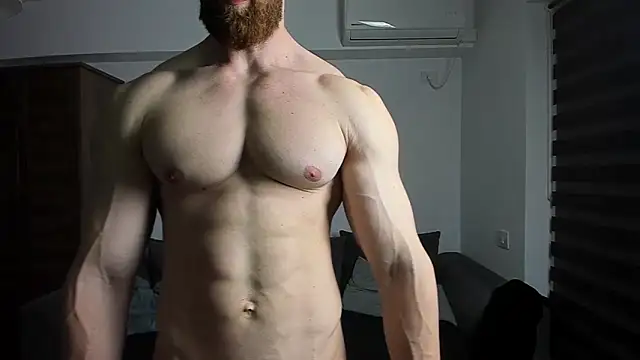 ZkkBlitz webcam