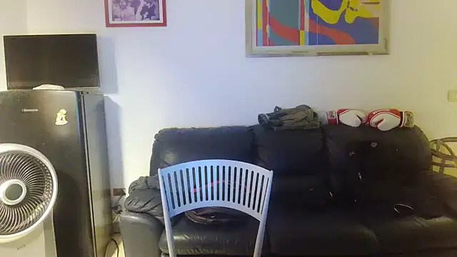 AMIRDIB2025 webcam