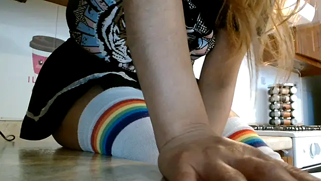 3littles webcam