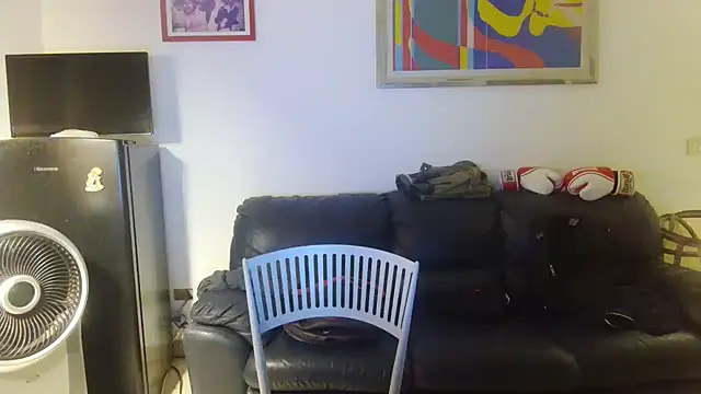 AMIRDIB2025 webcam