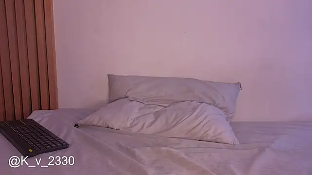 sofiesoft webcam