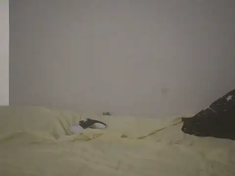 GermanxMD webcam